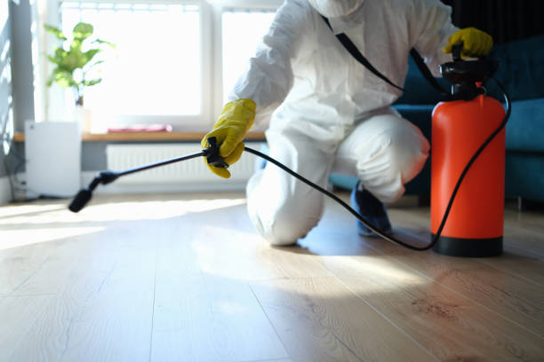 Reliable Hoarding Cleanup contractor in Ontario, CA by Dulley Family Biohazard Services